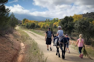 family walking with a donkey in Segovia