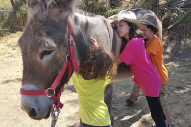 kids hugging their donkey