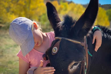child caring for a donkey