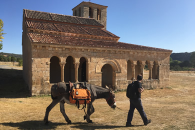 man walks with a donkey beside lovely church